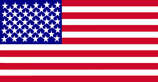 50 Star US Flag after Hawaii became a State