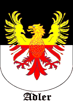 Adler Coat of Arms, Adler Crest, Arms